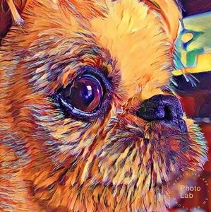 Meet your Posher, Lora